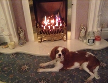 Cindy by the Fire